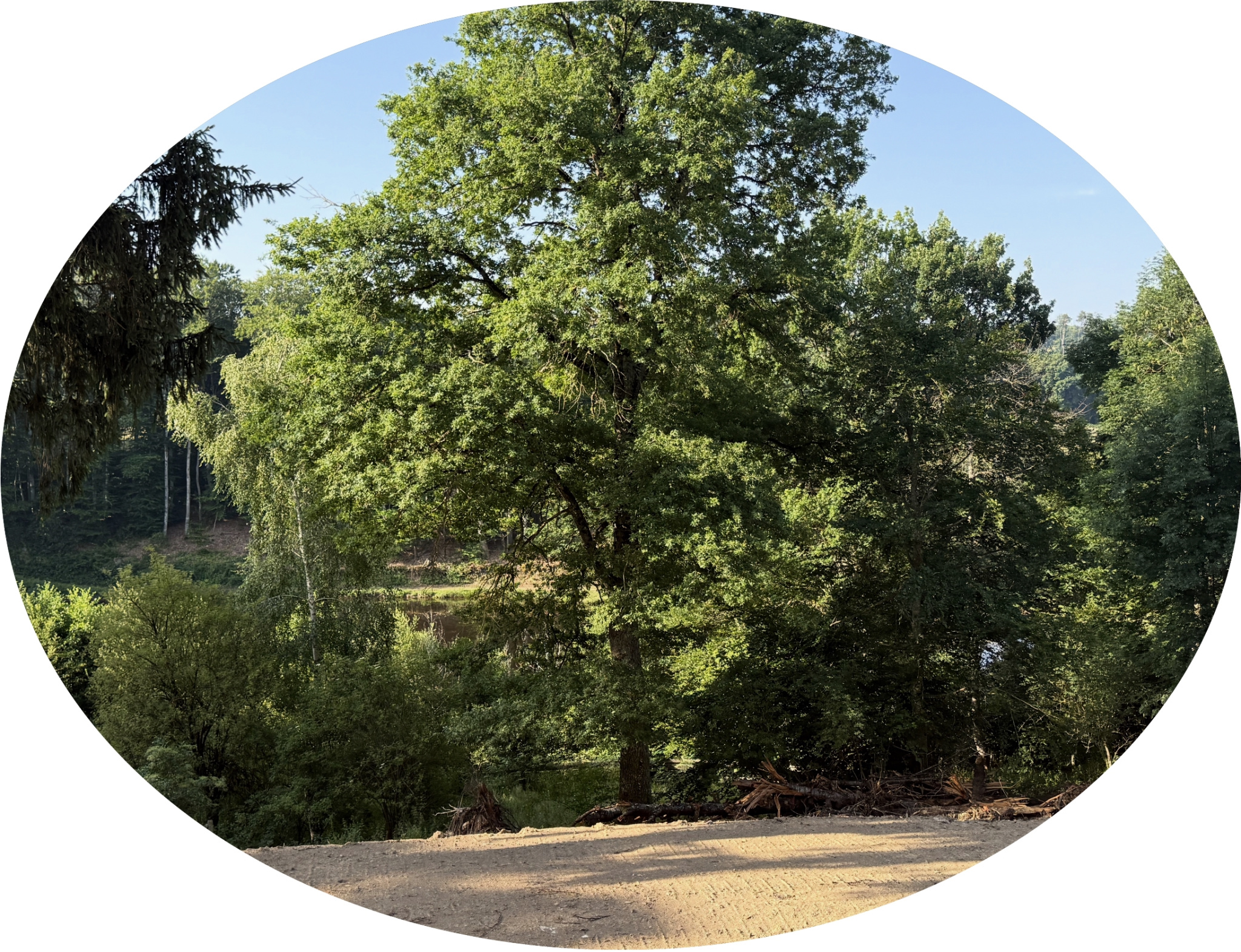 Agence immobilière de Auvergne Immo